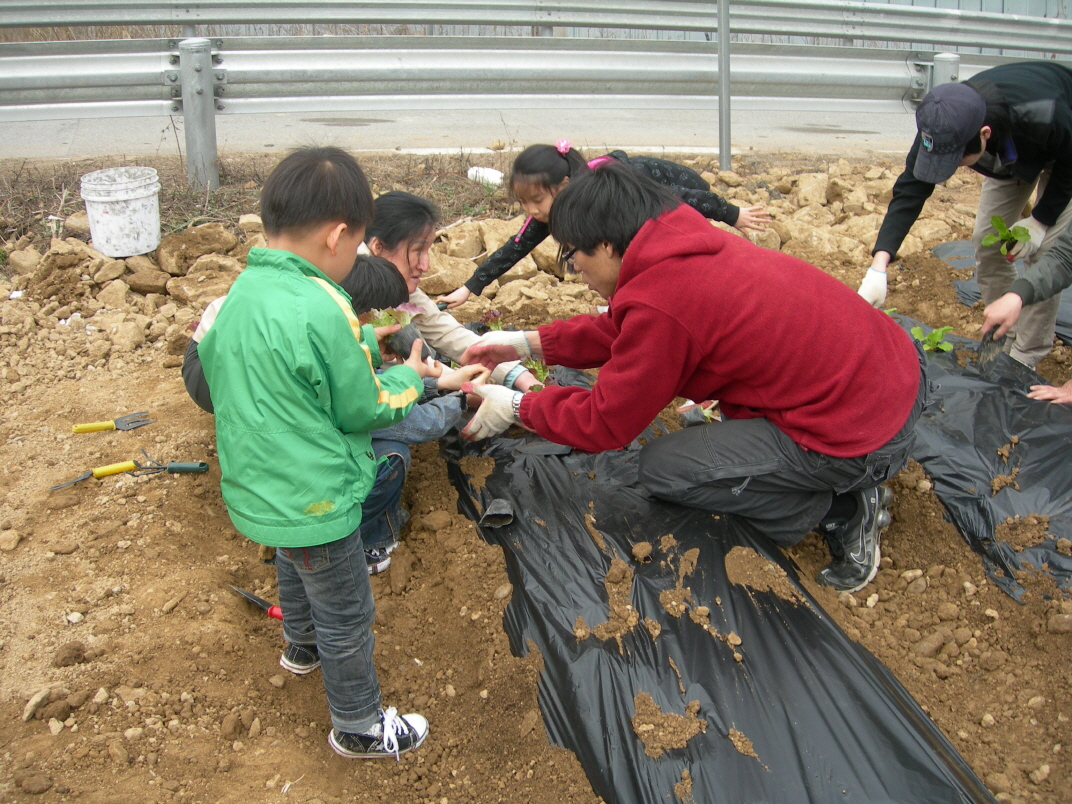 2010 주말농장 썸네일