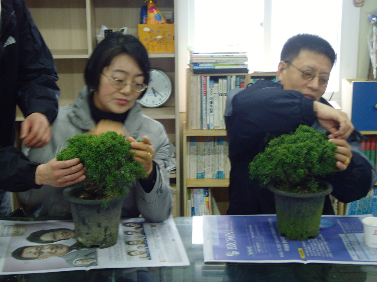 3월 여가활동(분재교실) 썸네일